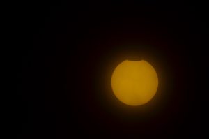 11_48_DSC_0068_ridimensionata