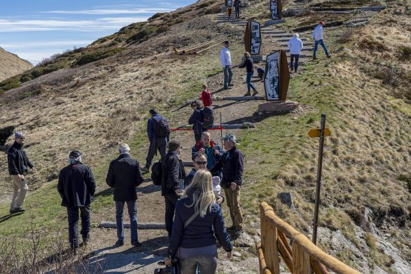 GLV02948_ridimensionata