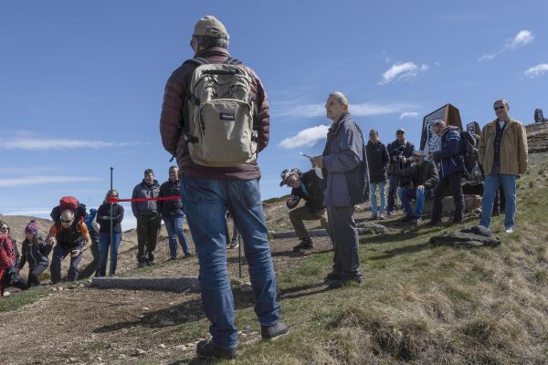 GLV02977_ridimensionata