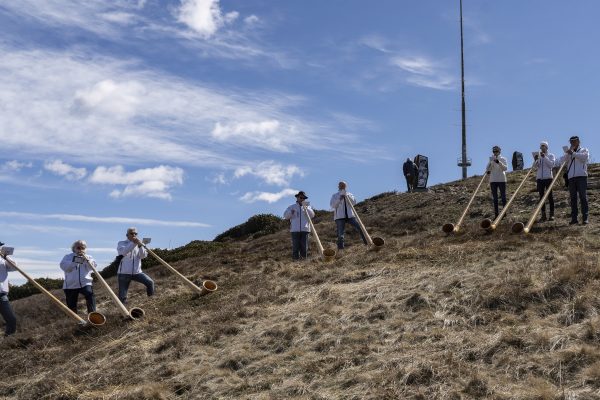 GLV02996_ridimensionata