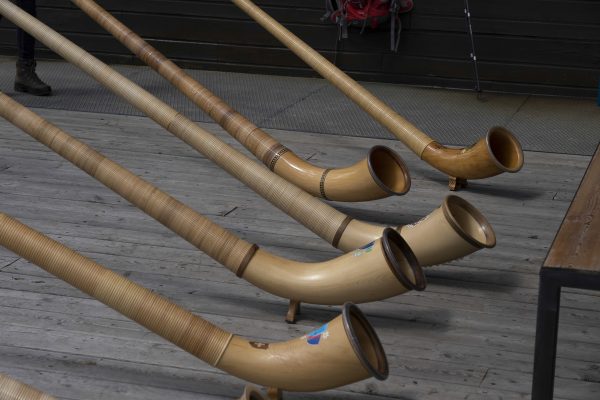 GLV03055_ridimensionata