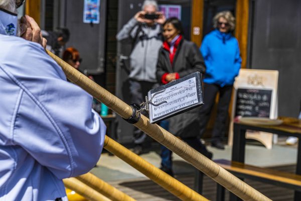 GLV03064_ridimensionata