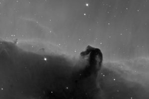 b33-nebulosa-testa-di-cavallo_ridimensionata