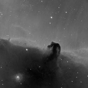 b33-nebulosa-testa-di-cavallo_ridimensionata