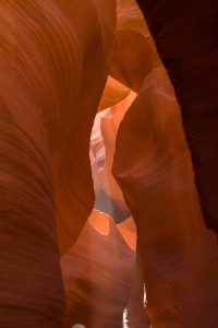 img_0026_ridimensionata