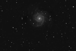 m74_ridimensionata