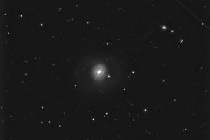 m77-l_ridimensionata