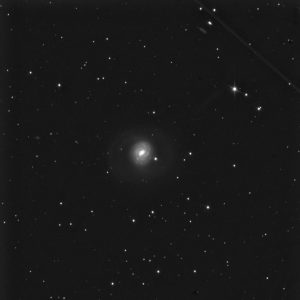 m77-l_ridimensionata