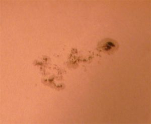 solemacchie_ridimensionata