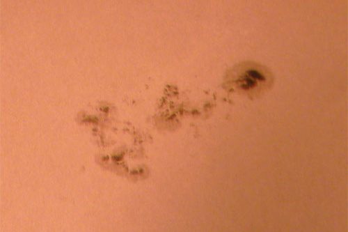 solemacchie_ridimensionata